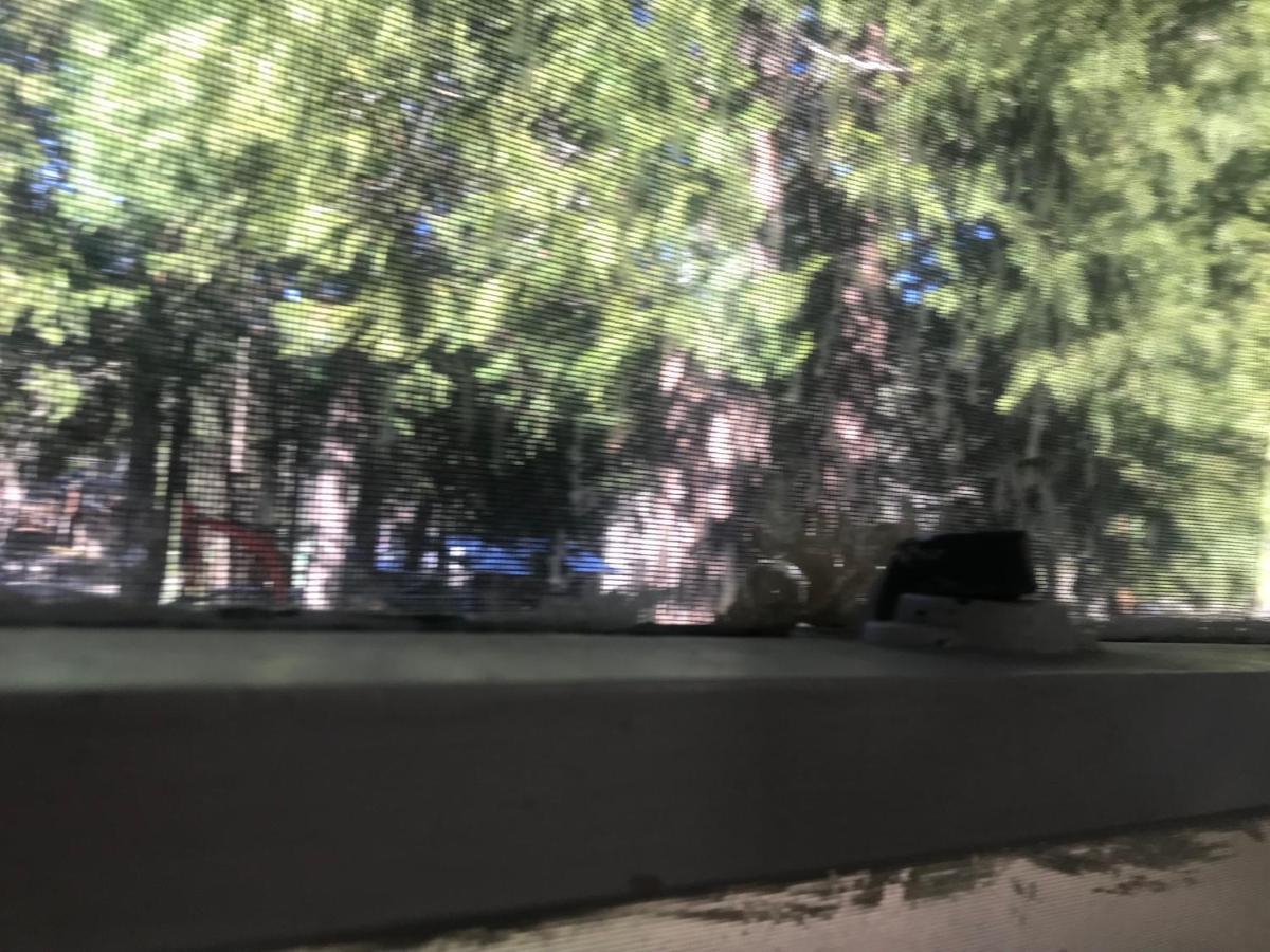 Dunsmuir Lodge * Dunsmuir
